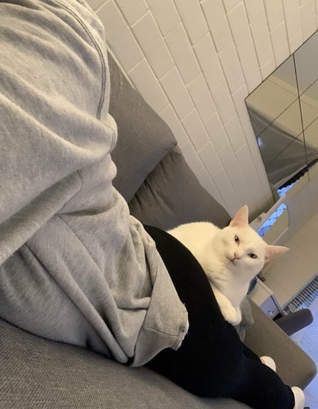 boobsandthings onlyfans content type