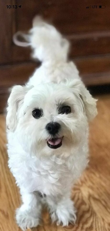 shanma leaked onlyfans