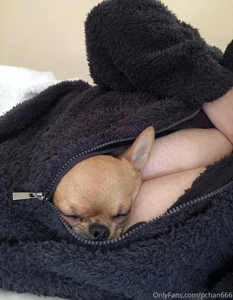 Pchan 666 onlyfans archives