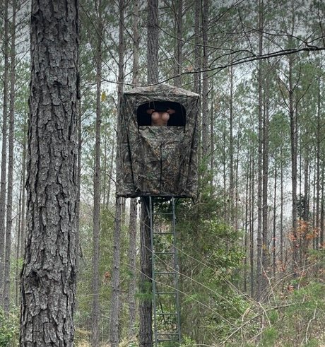 kimberleysadventures onlyfans naked porn