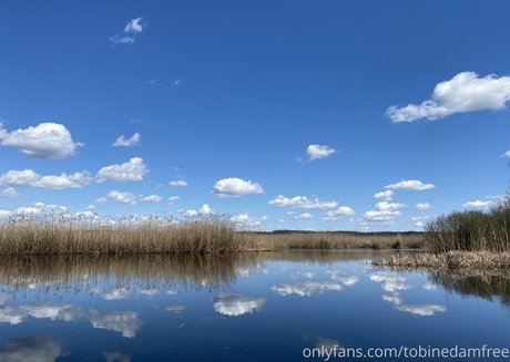tobinedamfree only fans leak porn
