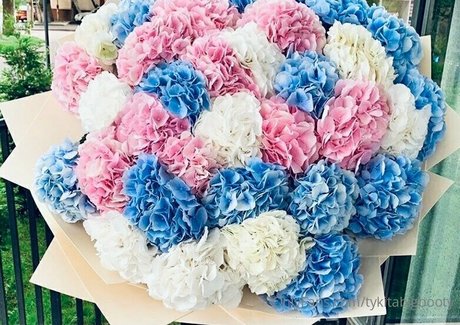 tykitabigbooty onlyfans porn