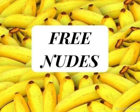 serena king onlyfans x