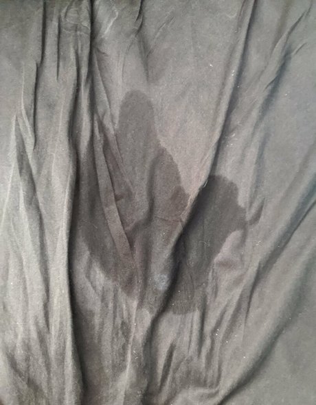 bbwdanibrooke onlyfans