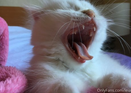 NSFWLeia new leaked onlyfans