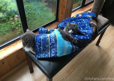 NSFWLeia onlyfans nude