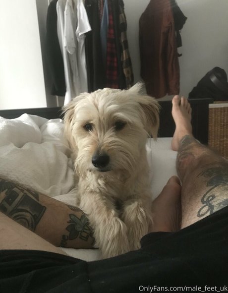 male feet uk leaked onlyfans xxx
