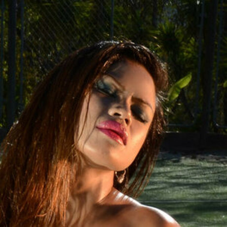 Armie Field onlyfans content