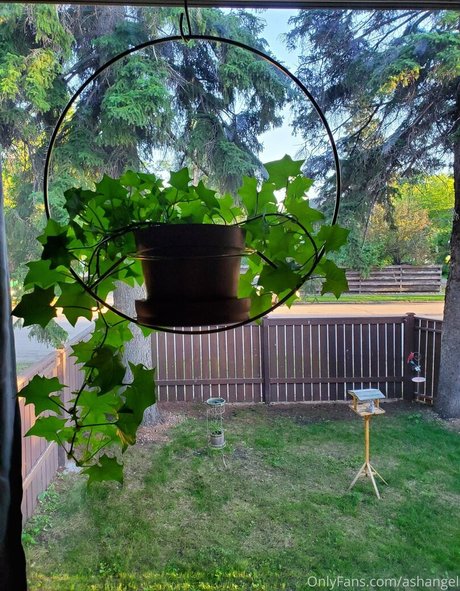 ashangel only fans pic