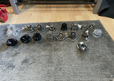 marywillows Profile pic