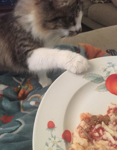 geminiscamp onlyfans leaked tits