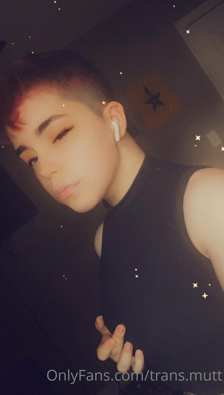 trans mutt only fans