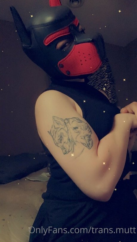 trans mutt only fans pictures