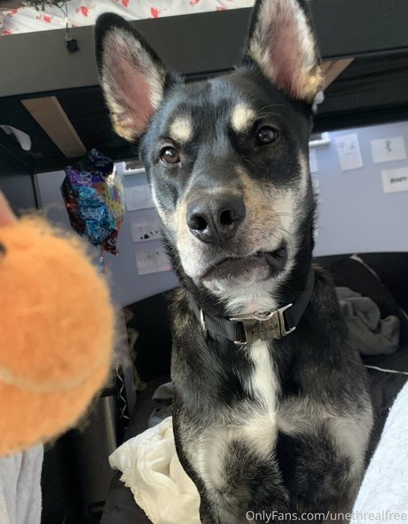 unethrealfree onlyfans nude pictures