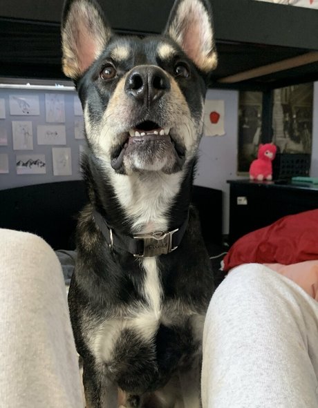 unethrealfree onlyfans porno