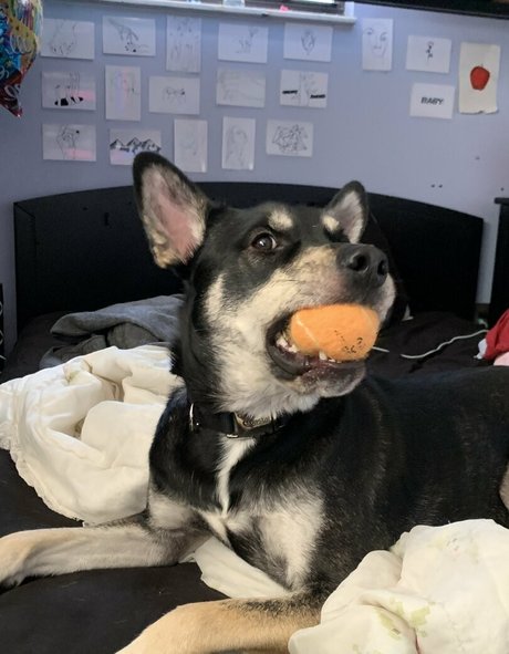 unethrealfree onlyfans joi