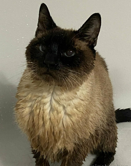 freebunbun onlyfans leaked nude