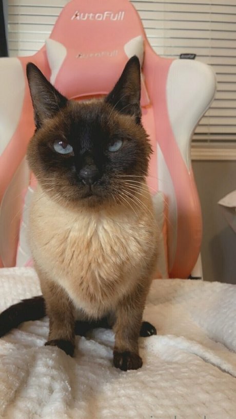 freebunbun leaked nudes onlyfans