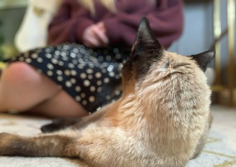 freebunbun onlyfans porn