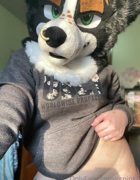 ccpinkk only fans porn