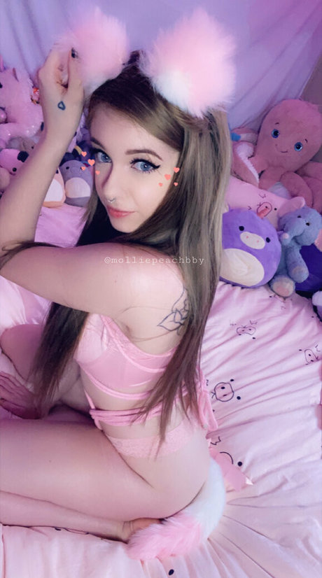 molliepeachbby Profile pic