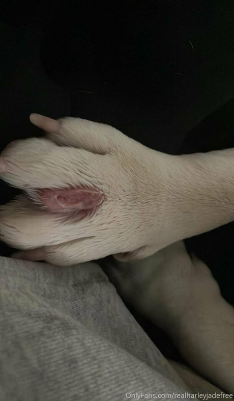 realharleyjadefree onlyfans leaka