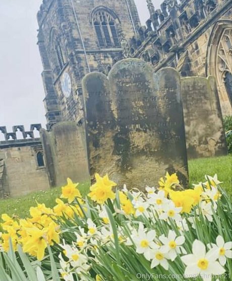 englishrosie21 leaked onlyfans