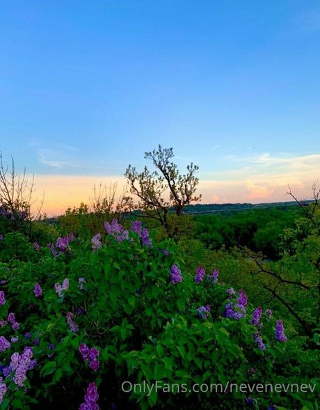 nevenevnev boobs onlyfans