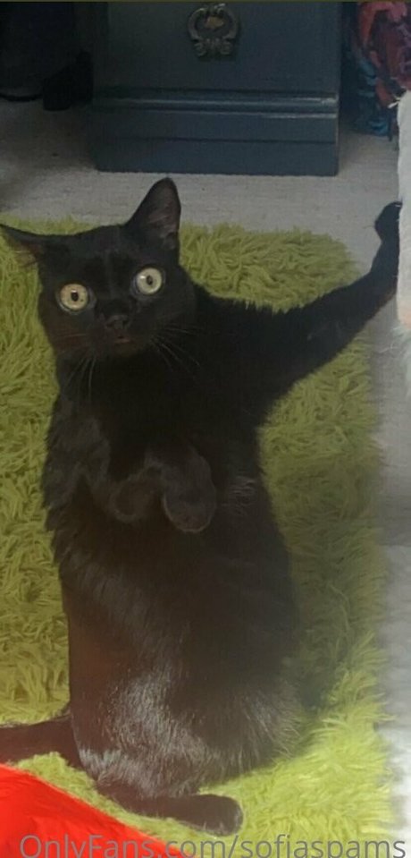 Sofia Porzio only fans xxx