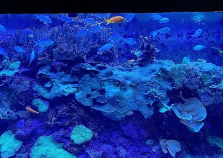 leanalovings onlyfans gratis