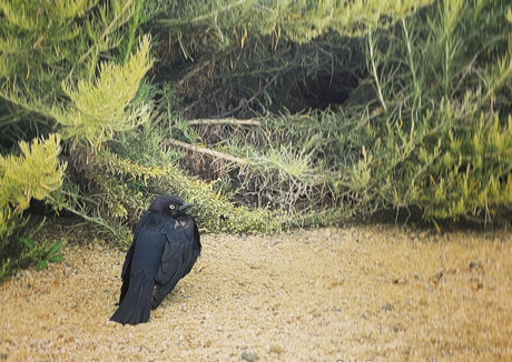 leanalovings fans only