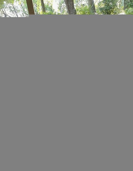 Teddy Mountinho nudes onlyfans leaked