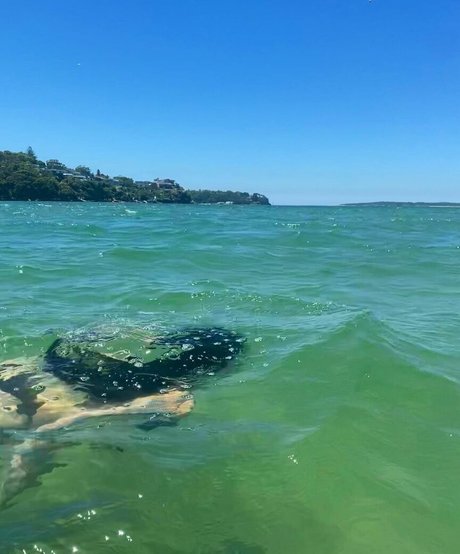 Sirenkahls onlyfans public photos