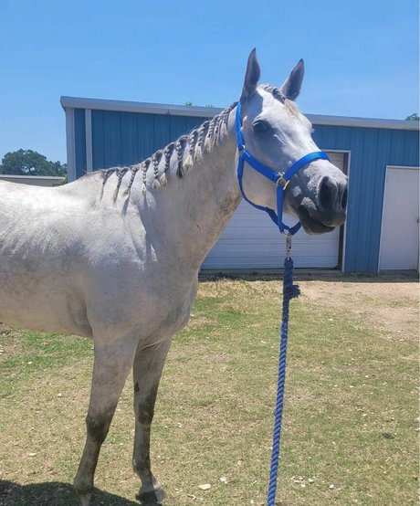 Lizzie All Day onlyfans leak sex