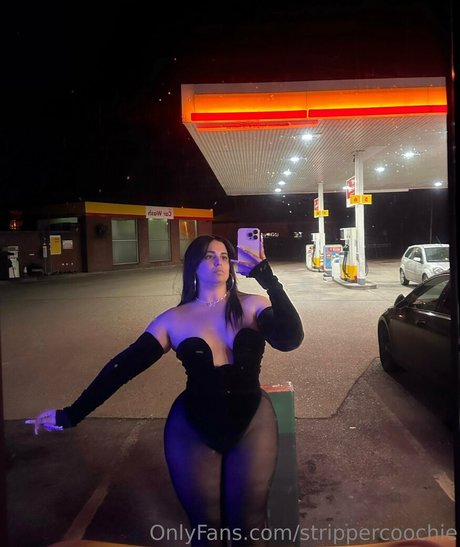 Mel Farahmand onlyfans de