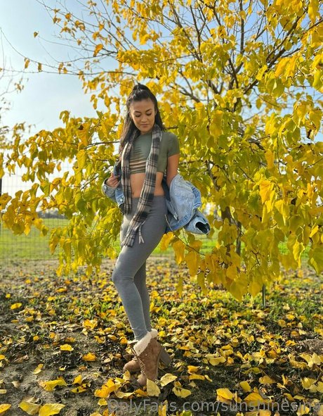 sunshinesinababy naked onlyfans leak