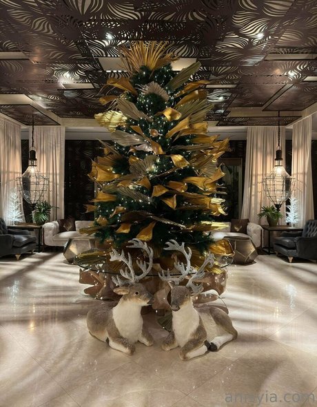 Anisyia_ only fans pictures