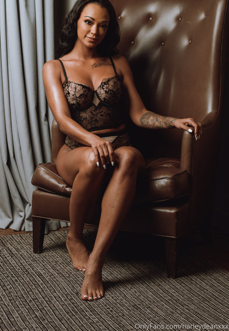 Harley Dean Profile pic