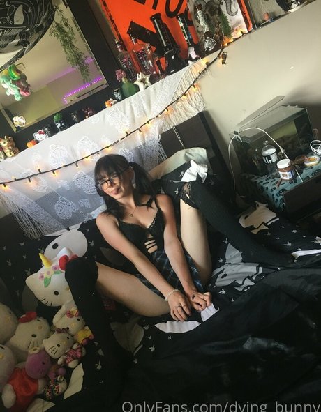 Dying bunny only fans nudes