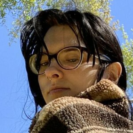 Echo Noir Profile pic