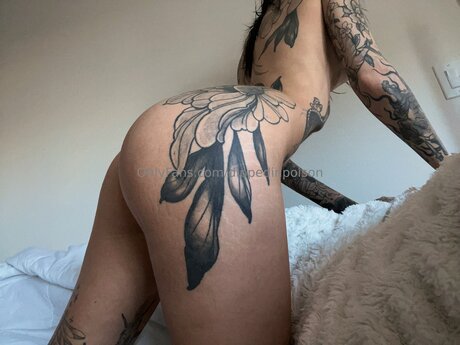 Dippedinpoison onlyfans leaked photos