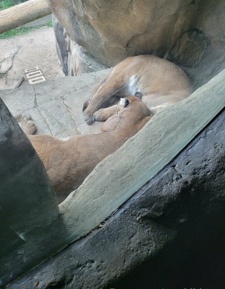 geekikitten Profile pic