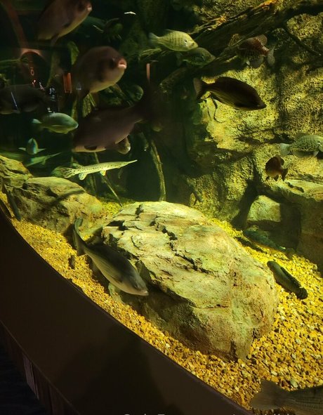 geekikitten onlyfans leaks