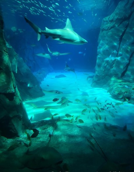 geekikitten leaked onlyfans pics