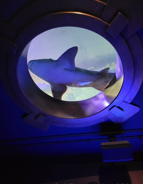 geekikitten onlyfans leaked pics