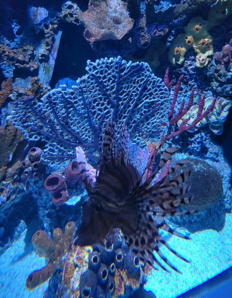 geekikitten nude onlyfans leaks