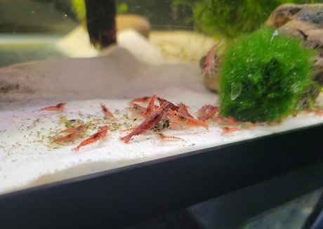 geekikitten onlyfans xxx