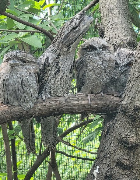 geekikitten naked onlyfans leak