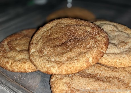 theradicalfox hot onlyfans