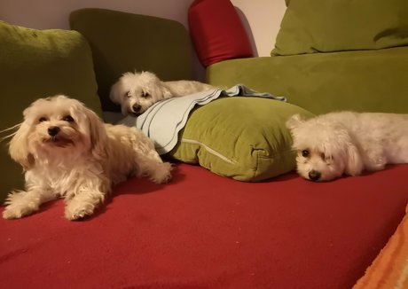 rosszalkodjunk onlyfans xxx